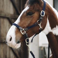Load image into Gallery viewer, Kentucky Horsewear Plaited Nylon Halter Navy