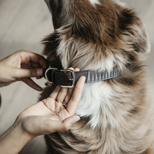 Load image into Gallery viewer, Kentucky Dogwear Dog Collar Triangle
