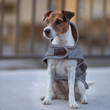 Load image into Gallery viewer, Kentucky Dogwear Reflective & Water Repellent Dog Coat