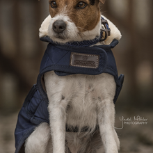 Load image into Gallery viewer, Kentucky Dogwear Dog Coat Original Navy
