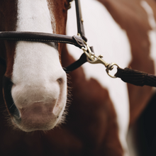 Load image into Gallery viewer, Kentucky Horsewear Anatomic Leather Halter Head/Neck Piece Brown