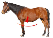 Load image into Gallery viewer, Mattes Crescent Slim Line Long Girth Black with Black Sheepskin