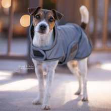 Load image into Gallery viewer, Kentucky Dogwear Reflective & Water Repellent Dog Coat