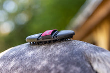 Load image into Gallery viewer, LeMieux Flexi Massage Comb
