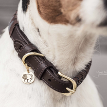 Load image into Gallery viewer, Kentucky Dogwear Dog Collar Triangle