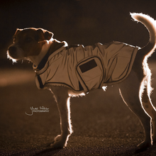Load image into Gallery viewer, Kentucky Dogwear Reflective & Water Repellent Dog Coat