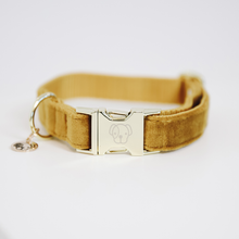 Load image into Gallery viewer, Kentucky Dogwear Velvet Collar