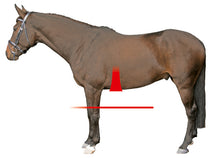 Load image into Gallery viewer, Mattes Anatomical Slim Line Long Girth Brown with Brown Sheepskin