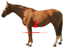 Load image into Gallery viewer, Mattes Asymmetric Slim Line Long Girth Brown with Brown Sheepskin