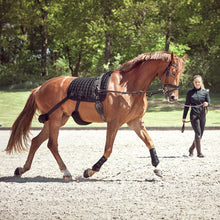 Load image into Gallery viewer, Catago FIR-Tech Core Training Saddle Pad