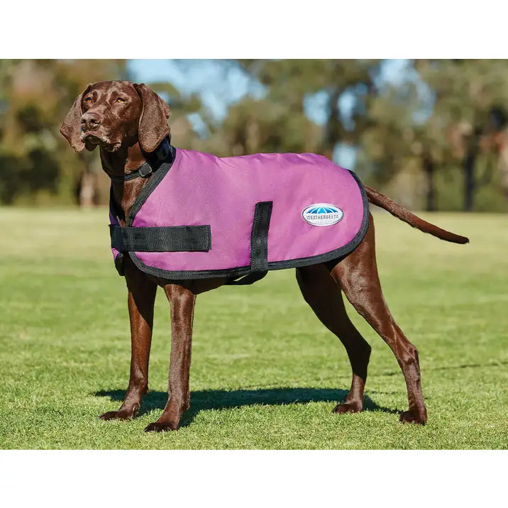 WeatherBeeta ComFiTec Classic Dog Coat Pink