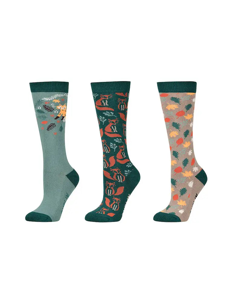 Dublin Kids 3 Pack Socks