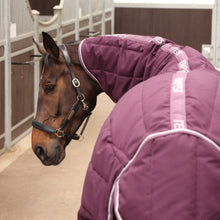 Load image into Gallery viewer, Shires Tempest Original 300 Stable Rug &amp; Neck Set Burgundy
