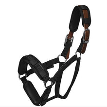 Load image into Gallery viewer, ThinLine Padded Halter Liners / Bridle Wraps 3 Piece Set
