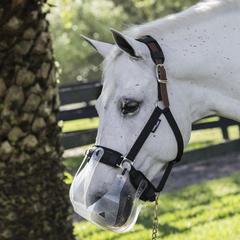 ThinLine Padded Halter Liners / Bridle Wraps 3 Piece Set