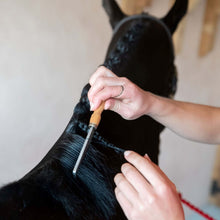 Load image into Gallery viewer, Smart Grooming Mane Comb
