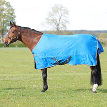 Load image into Gallery viewer, StormX Empra 0 Turnout Rug Blue
