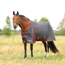 Load image into Gallery viewer, HyCONIC 0g Turnout Rug Charcoal/Red
