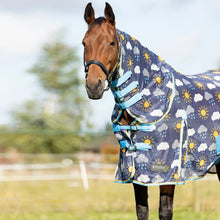 Load image into Gallery viewer, StormX Original Come Rain or Shine Combi Fly Rug
