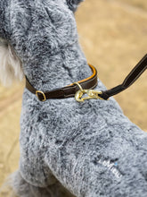 Load image into Gallery viewer, LeMieux Toy Puppy Collar &amp; Lead Ginger/Brown
