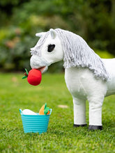 Load image into Gallery viewer, LeMieux Toy Pony Treat Bucket Multi
