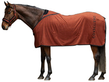 Load image into Gallery viewer, Covalliero Fleece Blanket
