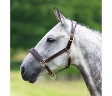 Load image into Gallery viewer, Shires Velociti GARA Leather Travel Headcollar Havana
