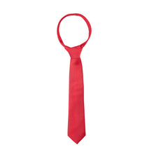Load image into Gallery viewer, Supreme Products Child's Show Tie
