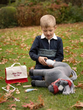 Load image into Gallery viewer, LeMieux Toy pony Vet Set
