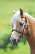 Load image into Gallery viewer, Shires Velociti GARA Clincher Inhand Bridle
