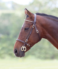 Load image into Gallery viewer, Shires Velociti GARA Clincher Inhand Bridle
