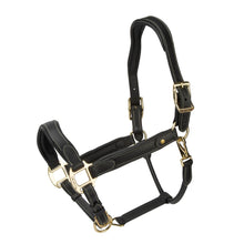 Load image into Gallery viewer, Shires Velociti Lusso Lorca Leather Headcollar
