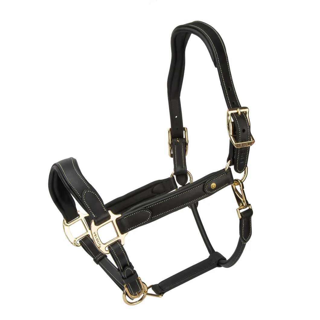 Shires Velociti Lusso Lorca Leather Headcollar