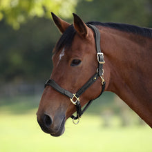 Load image into Gallery viewer, Shires Velociti Lusso Lorca Leather Headcollar
