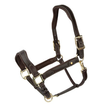 Load image into Gallery viewer, Shires Velociti Lusso Lorca Leather Headcollar
