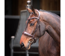 Load image into Gallery viewer, Shires Velociti Lusso Elite Padded Cavesson Bridle
