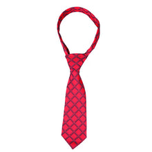 Load image into Gallery viewer, Supreme Products Adult Show Tie
