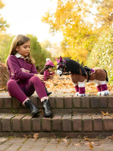 Load image into Gallery viewer, LeMieux Toy Pony Titan
