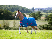 Load image into Gallery viewer, Shires Tempest Original Lite Turnout Rug Teal
