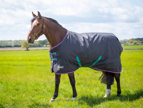 Tempest Original 300g Turnout Rug, Standard Neck
