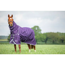 Load image into Gallery viewer, Shires Highlander Original 100 Turnout Rug &amp; Neck Set Plum
