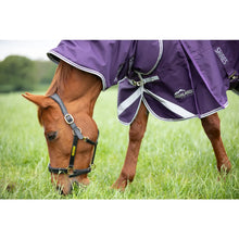 Load image into Gallery viewer, Shires Highlander Original 100 Turnout Rug &amp; Neck Set Plum
