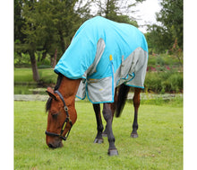 Load image into Gallery viewer, Shires Highlander Plus Waterproof Fly Rug
