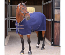 Load image into Gallery viewer, Shires Tempest Original Tech Cooler Rug Ink
