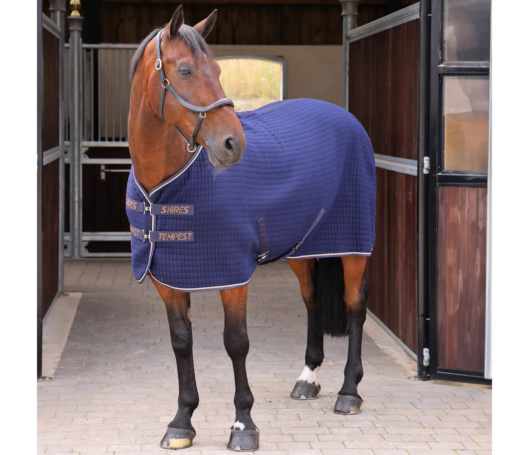 Shires Tempest Original Tech Cooler Rug Ink