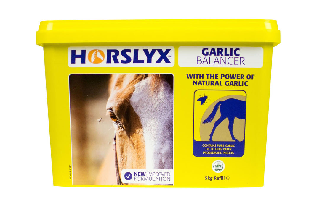 Horslyx Garlic Balancer Lick 5kg