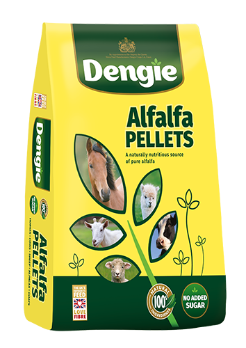 Dengie Alfalfa Pellets