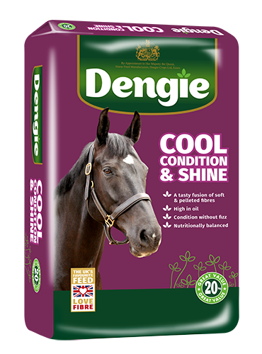 Dengie Cool, Condition & Shine