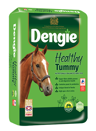 Dengie Healthy Tummy