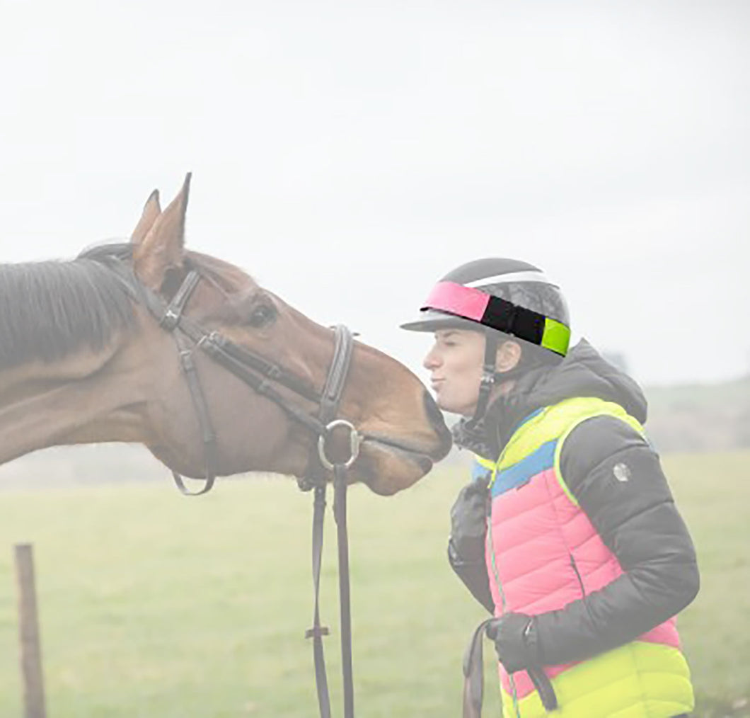 Equisafety Multi-Coloured Hatband Pink/Yellow